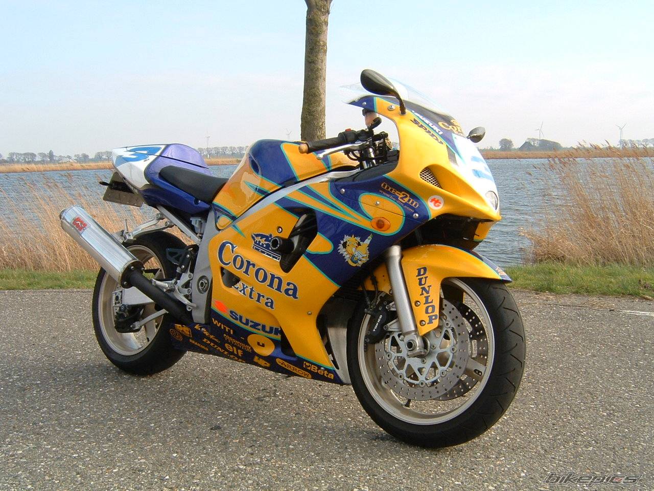 Photo 168281