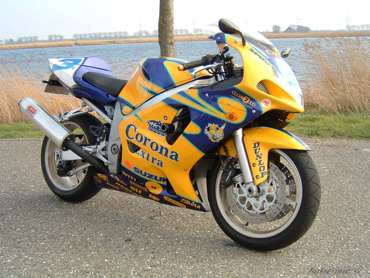 Photo 168286