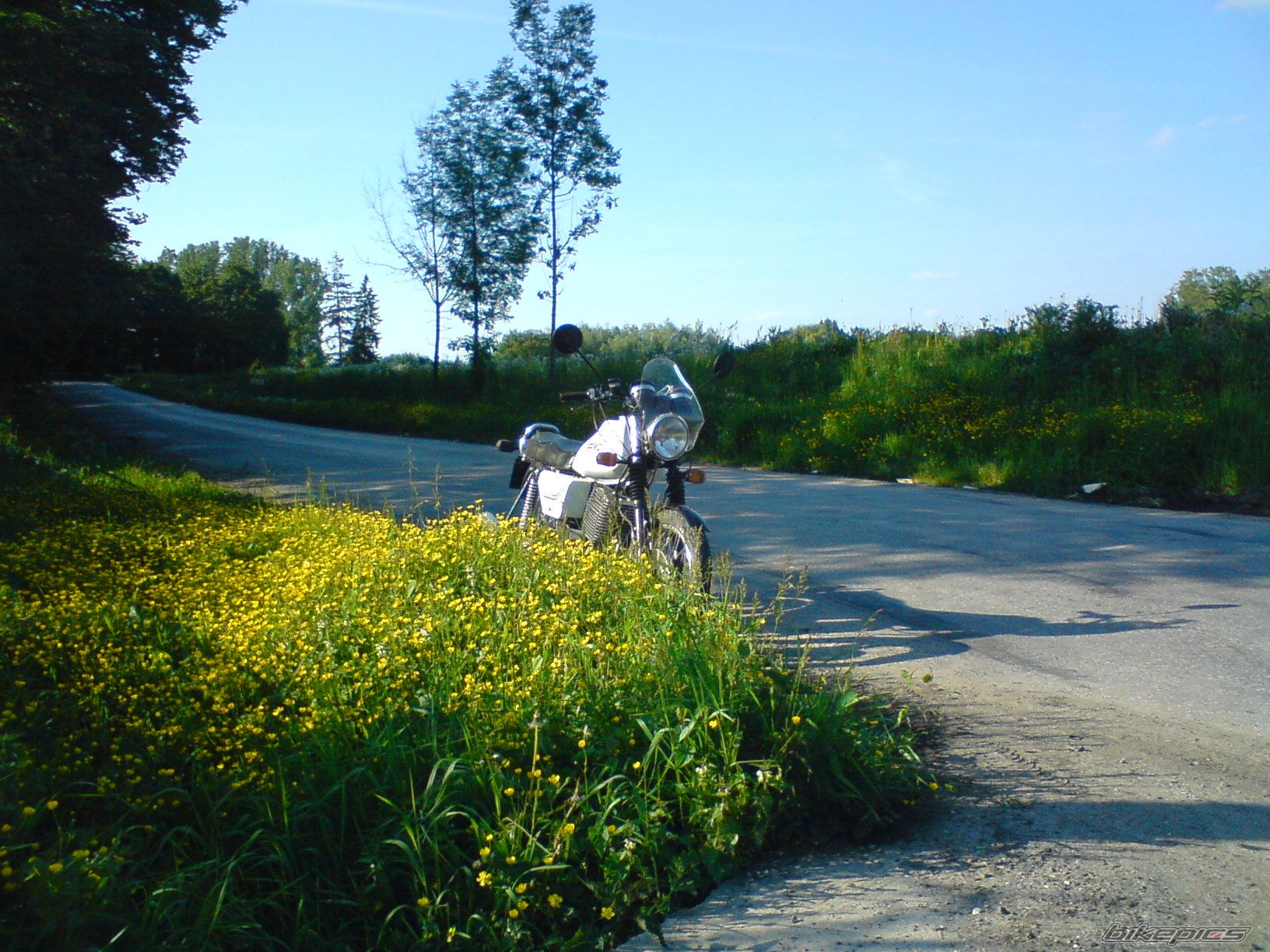 Photo 1682904