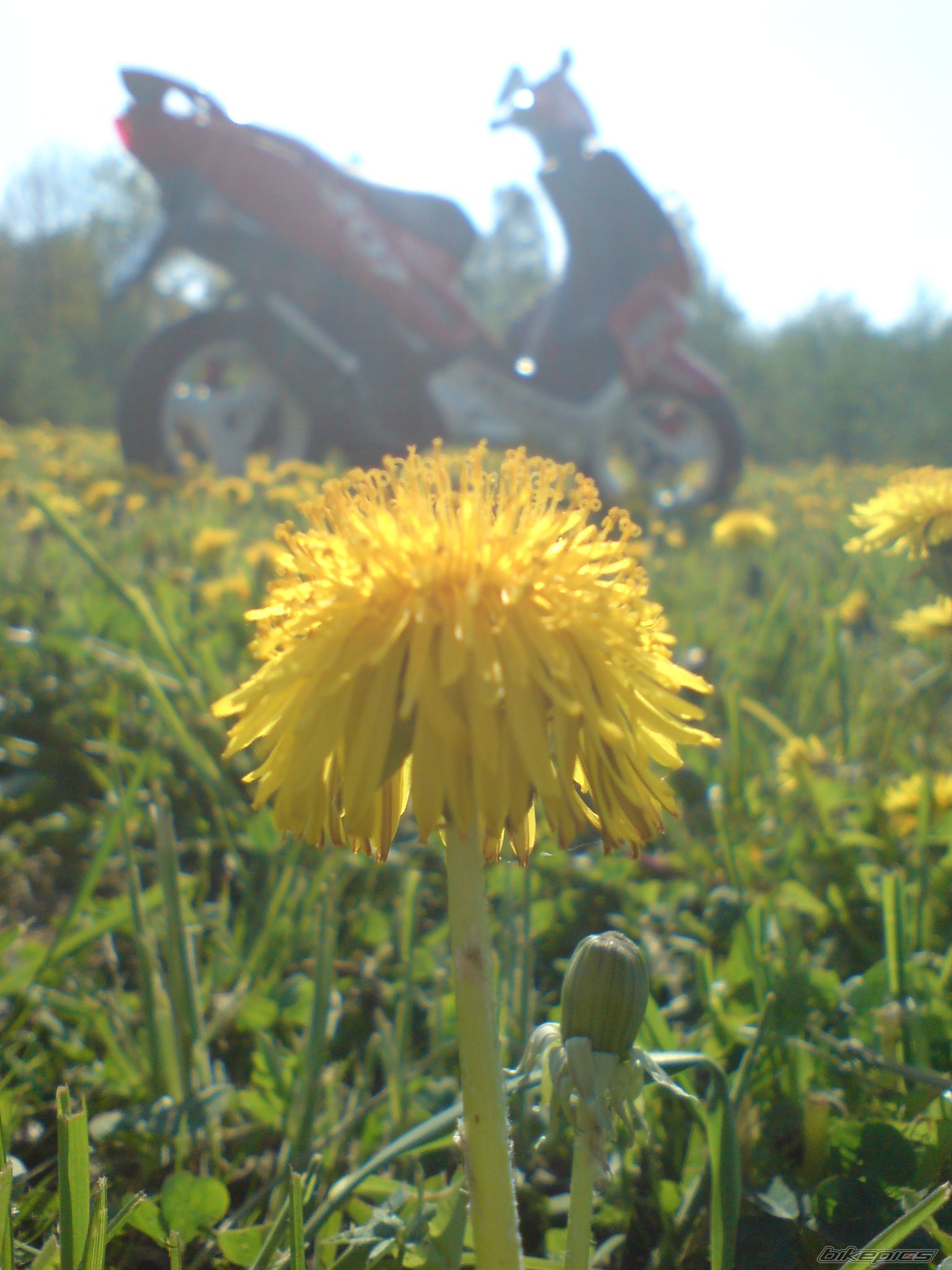 Photo 1682907