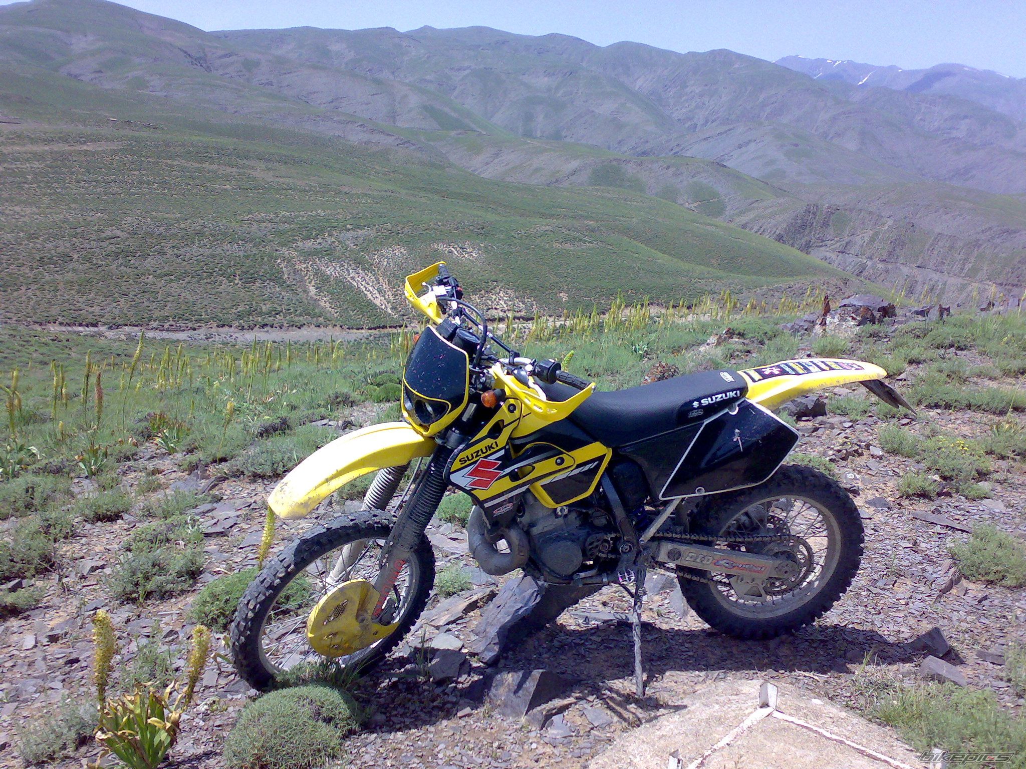 Photo 1682951