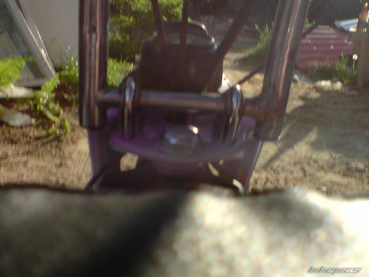 Photo 1682983