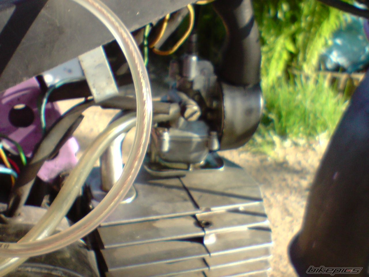 Photo 1682986