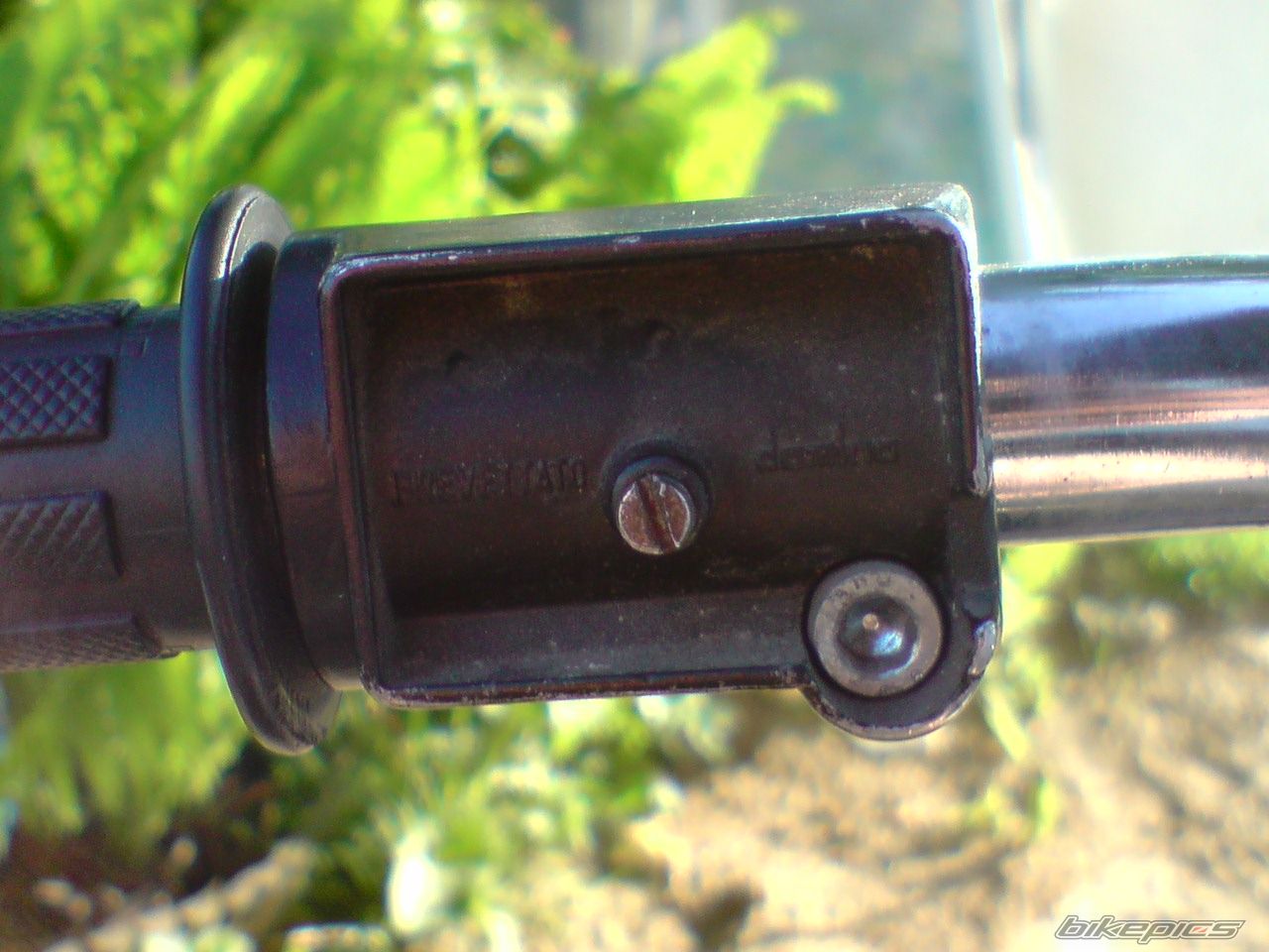 Photo 1682988