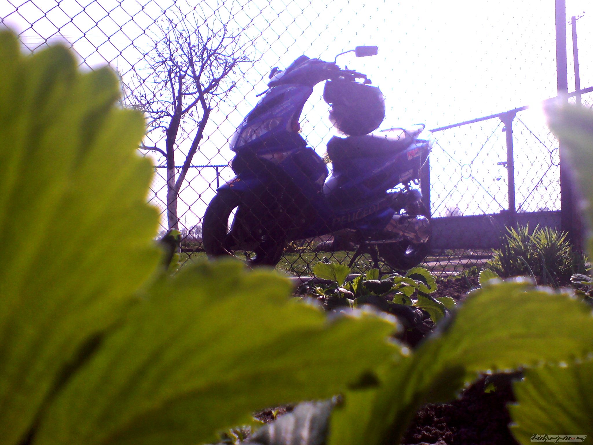 Photo 1683089