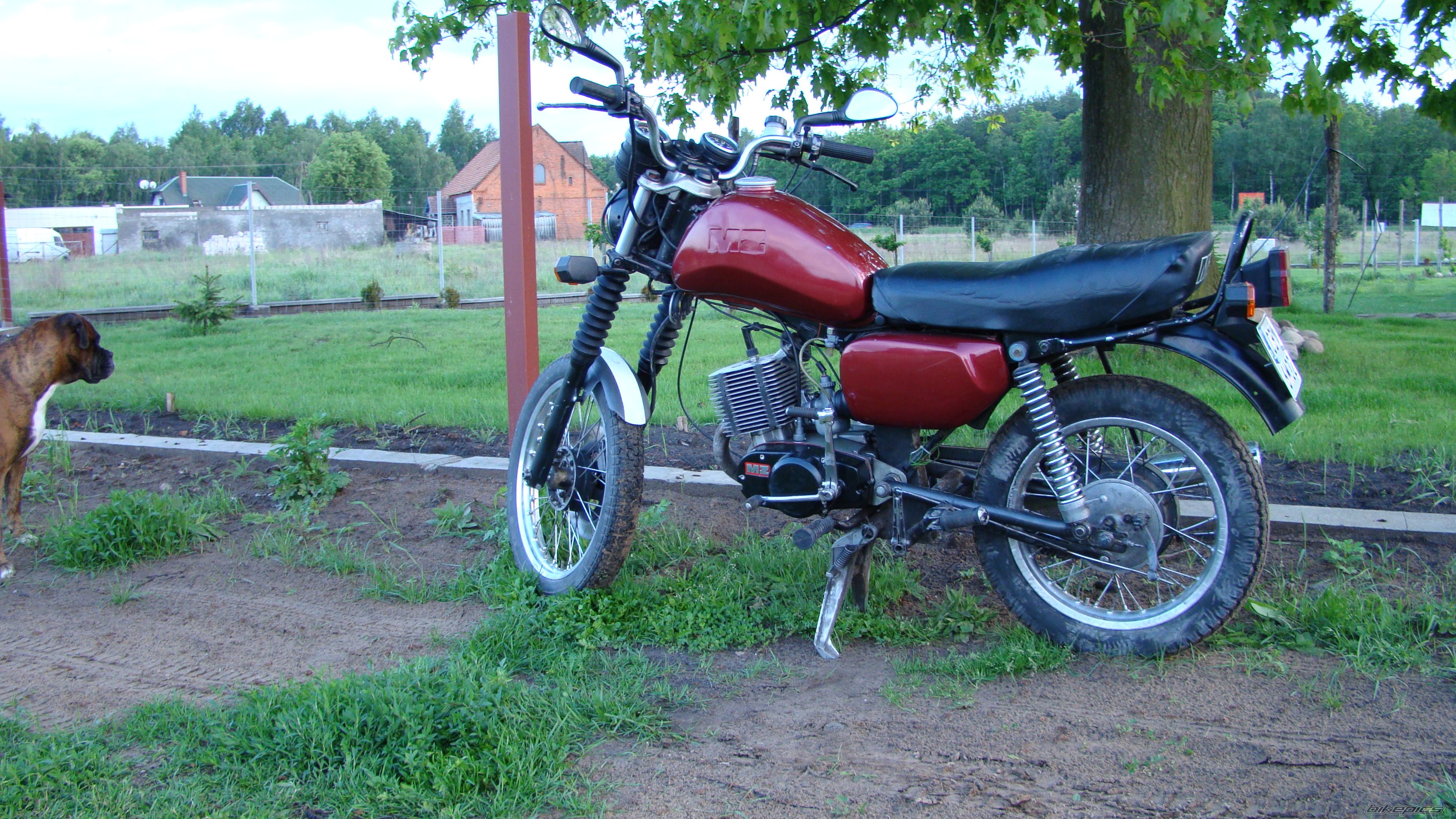 Photo 1683096