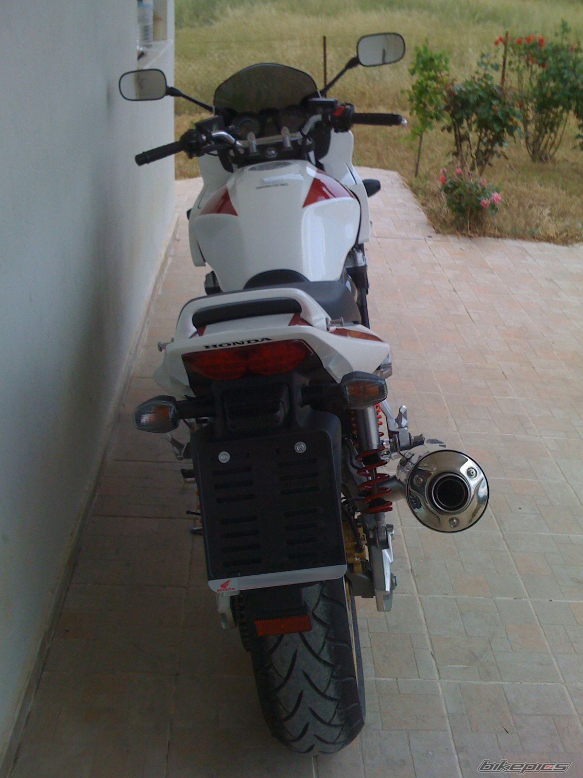 Photo 1683102