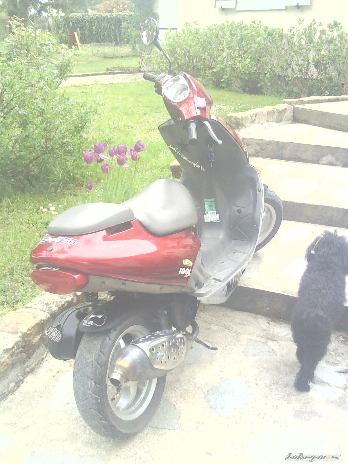 Bike Photo 1683134