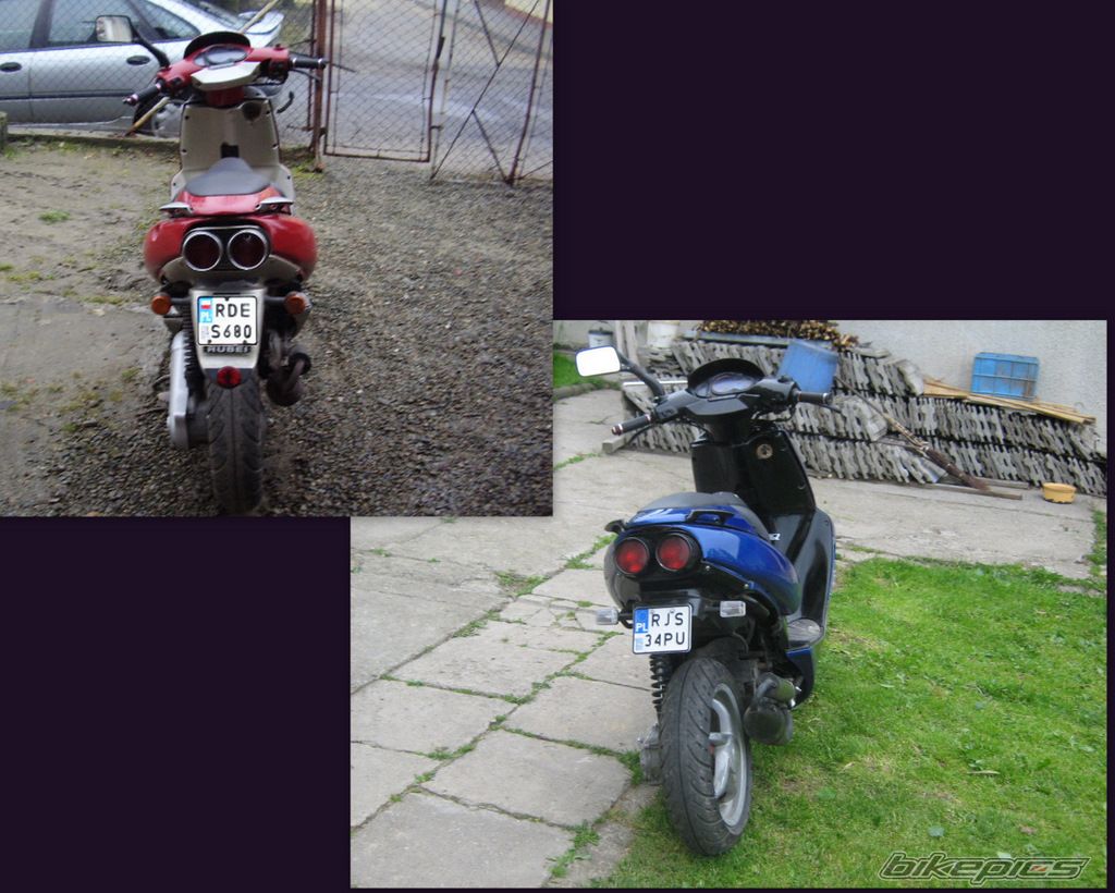 Photo 1683268