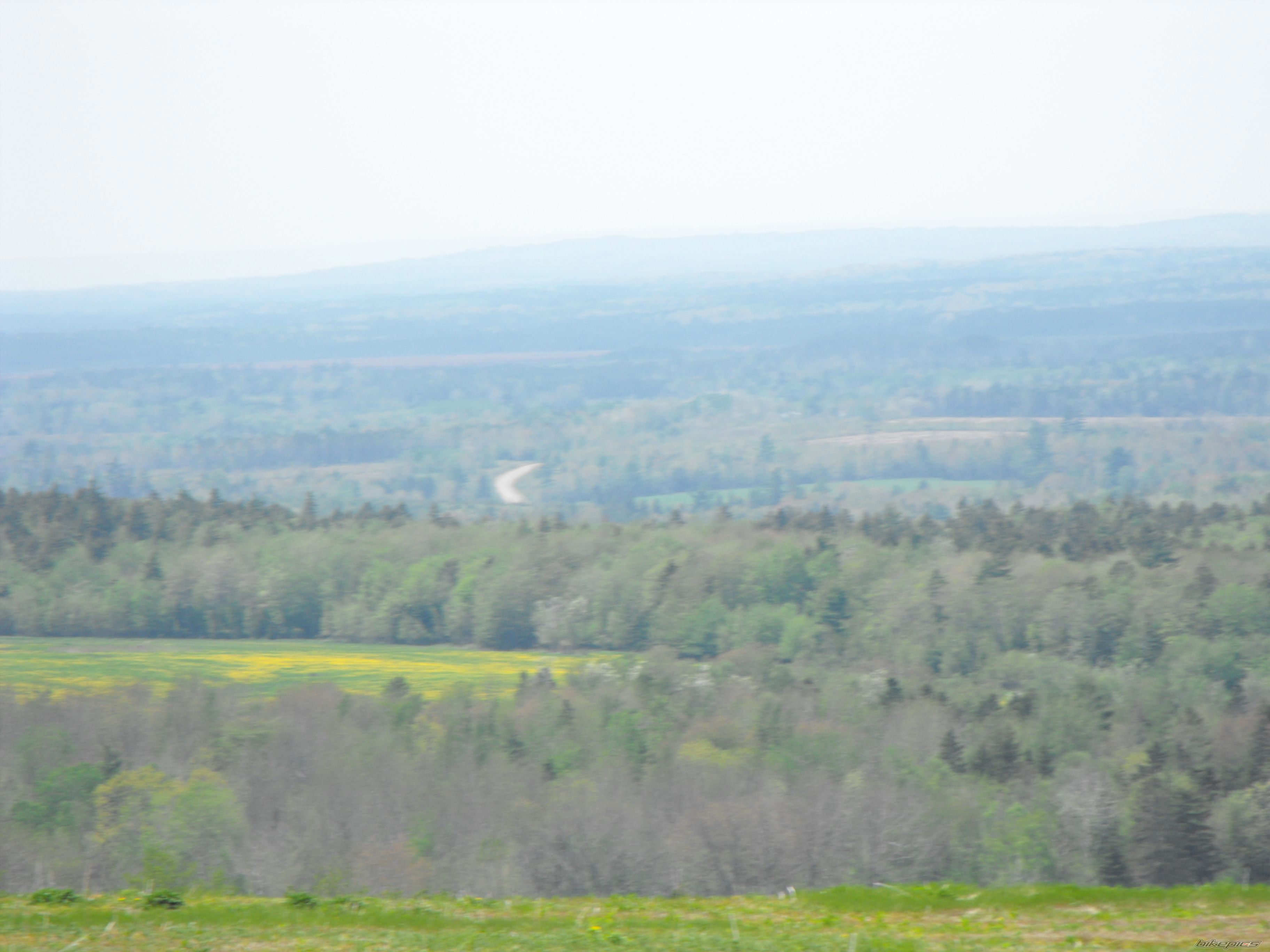 Photo 1683278