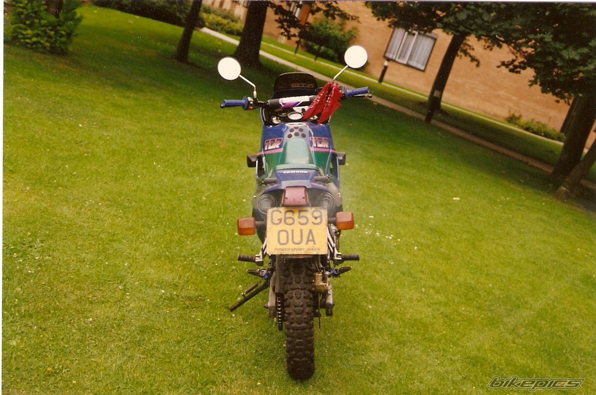 Photo 1683310