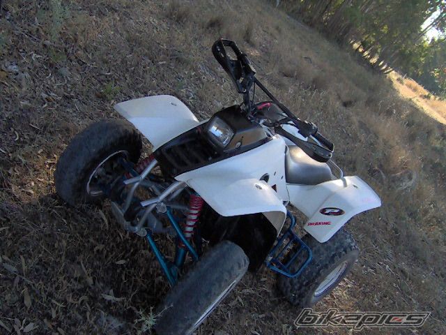 Photo 1683342