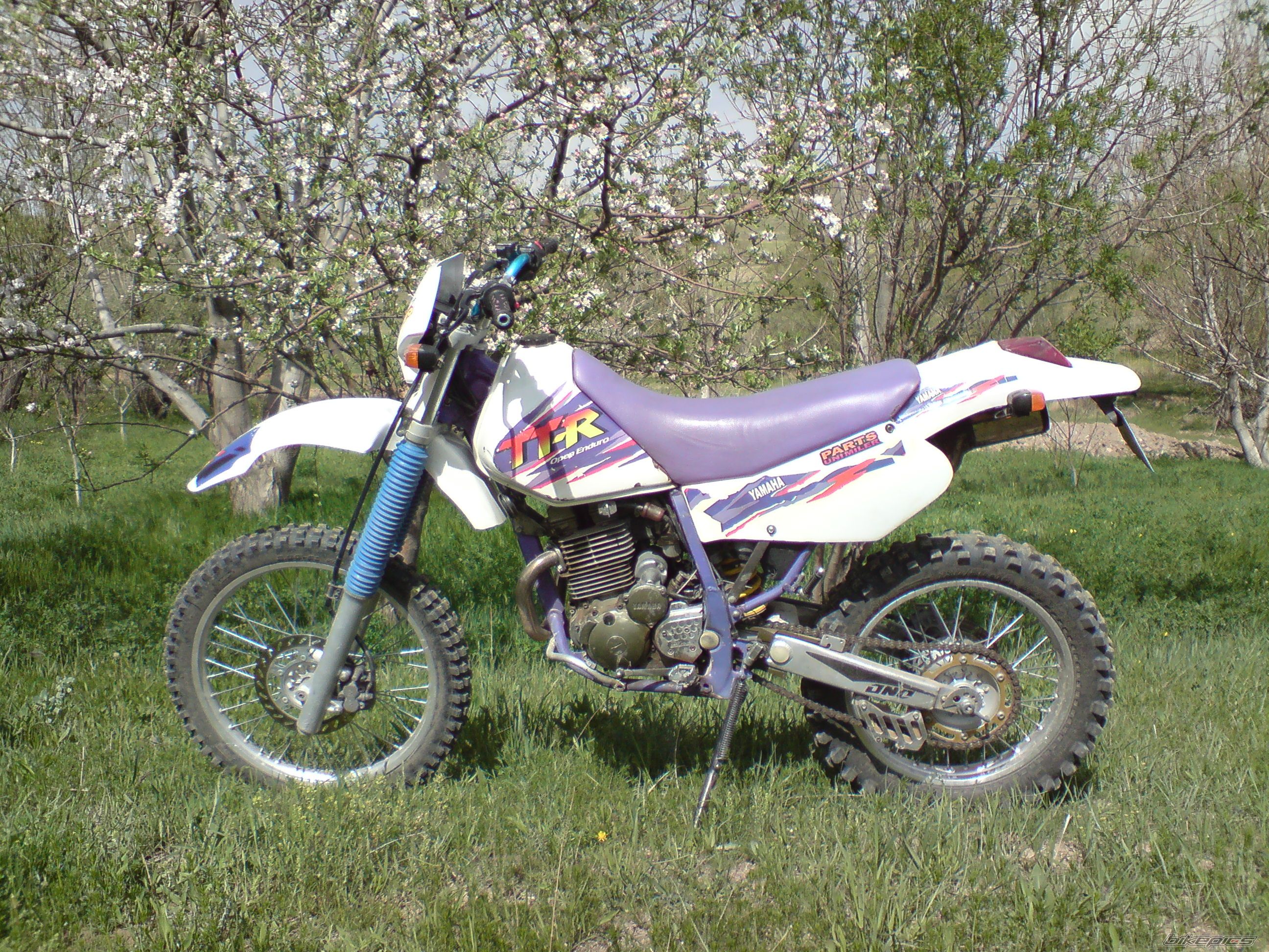 Photo 1683382