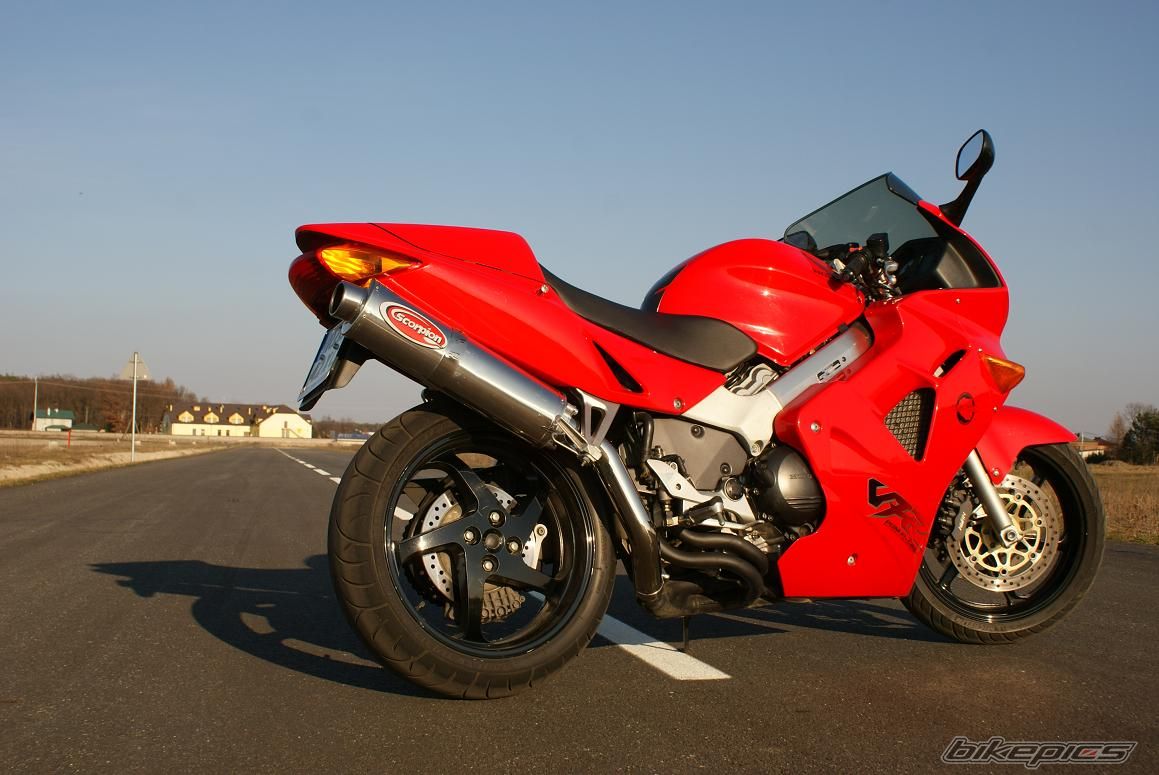 Photo 1683383