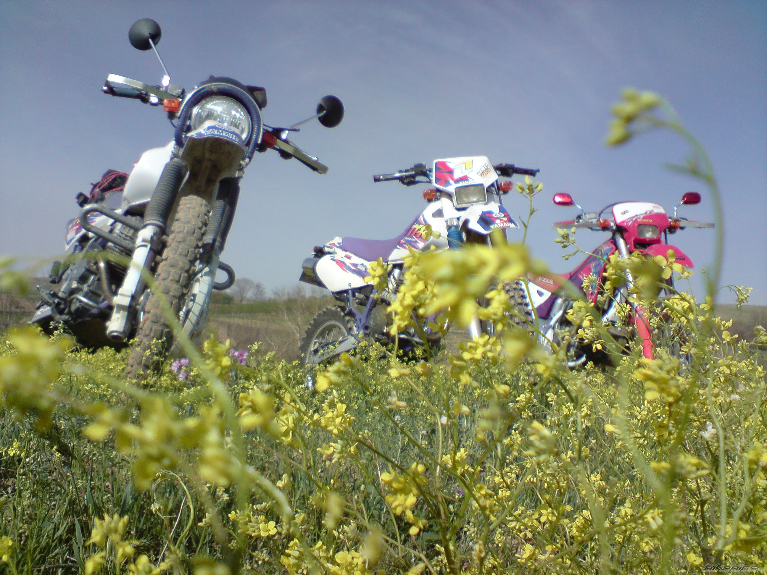 Bike Photo 1683387