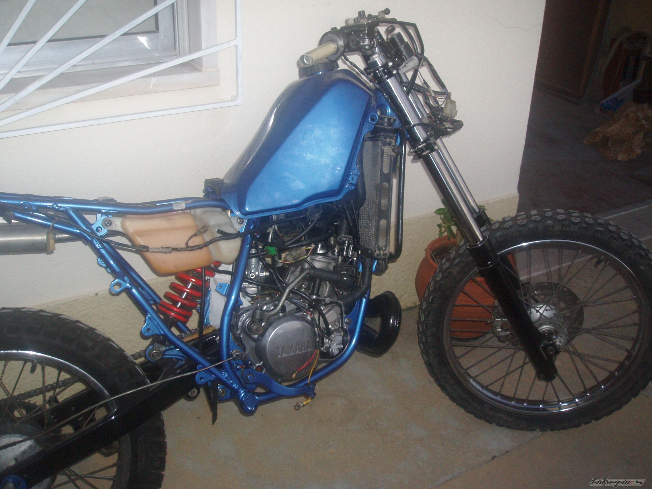 Photo 1683389