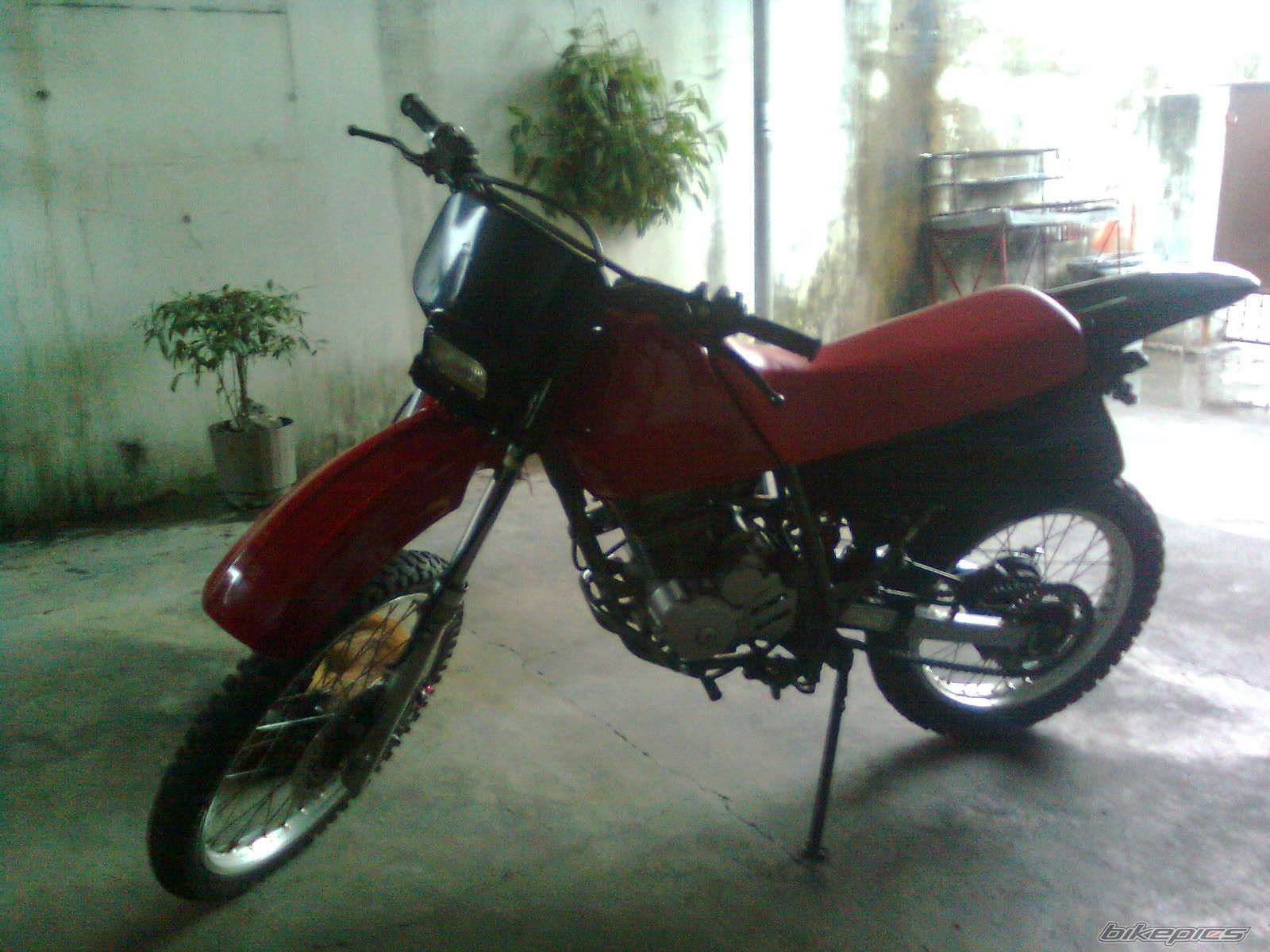 Photo 1683398