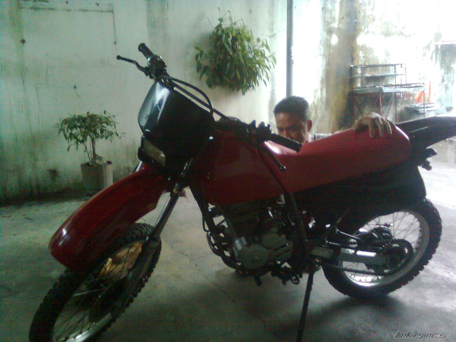 Photo 1683401