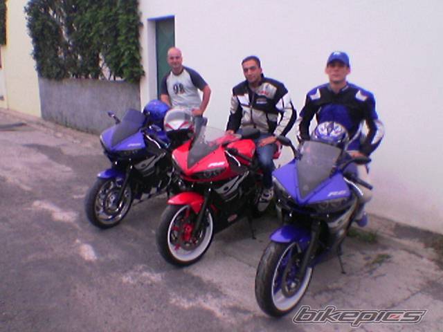 Photo 168355