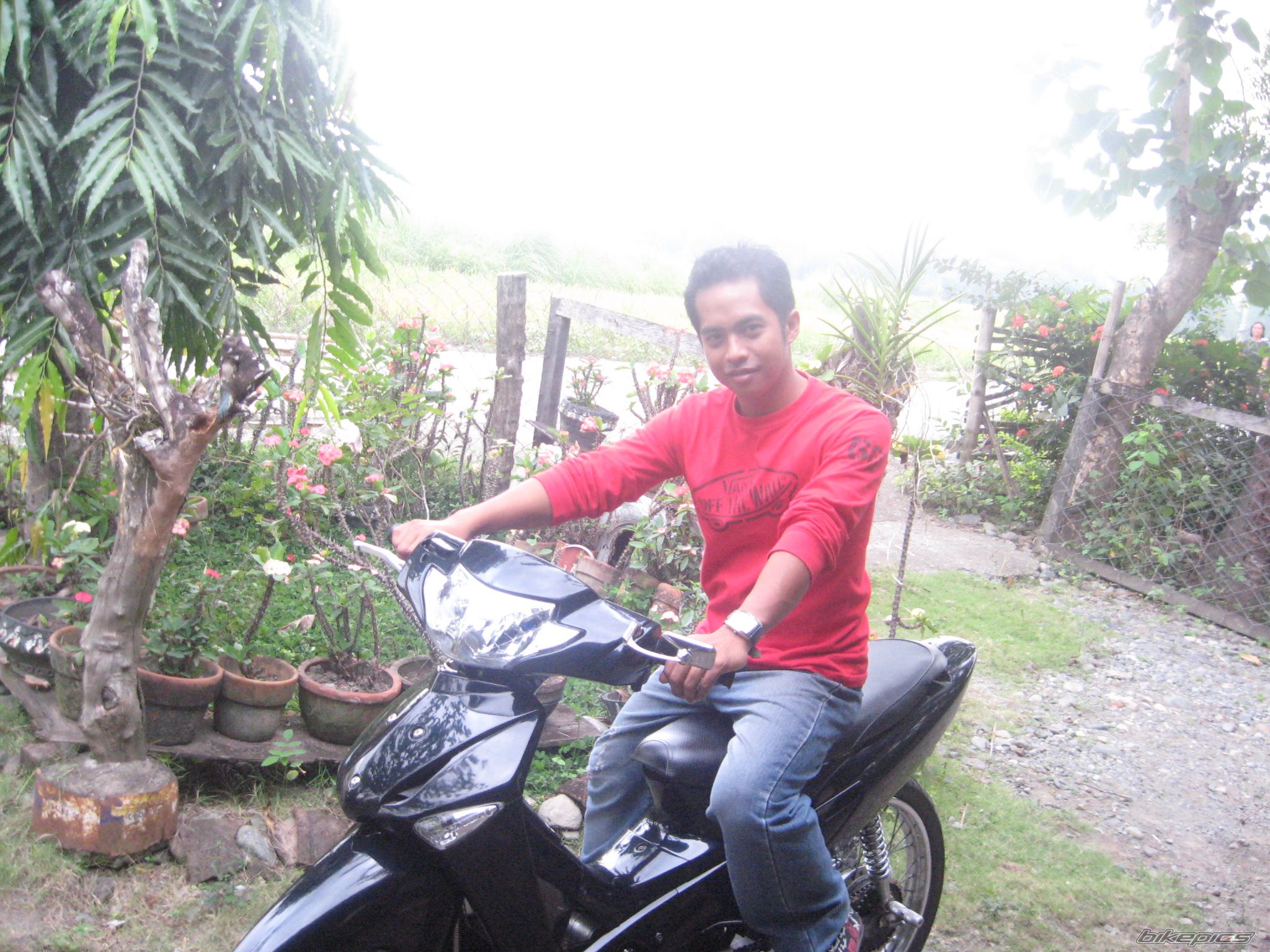 Photo 1683612