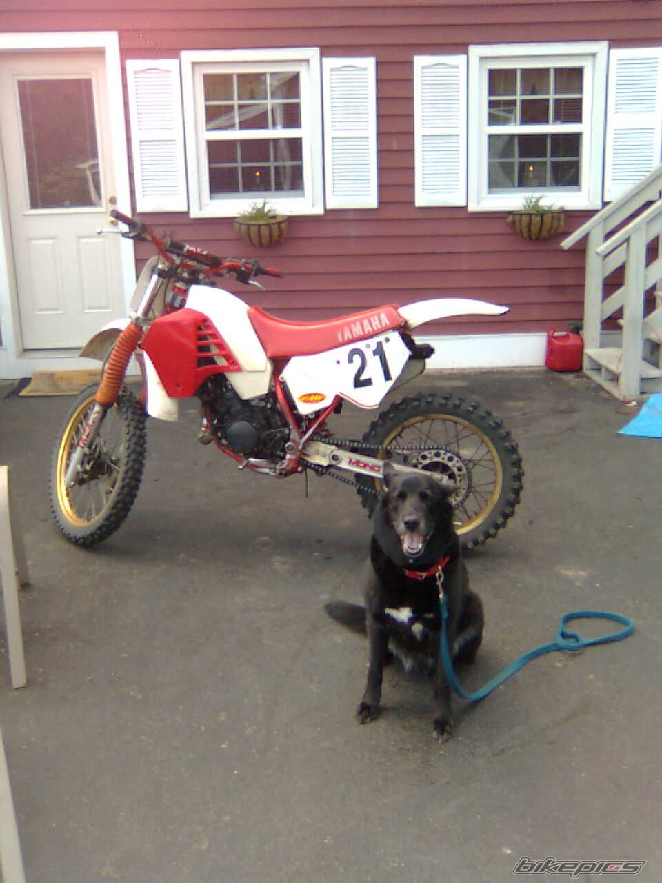 Bike Photo 1683722