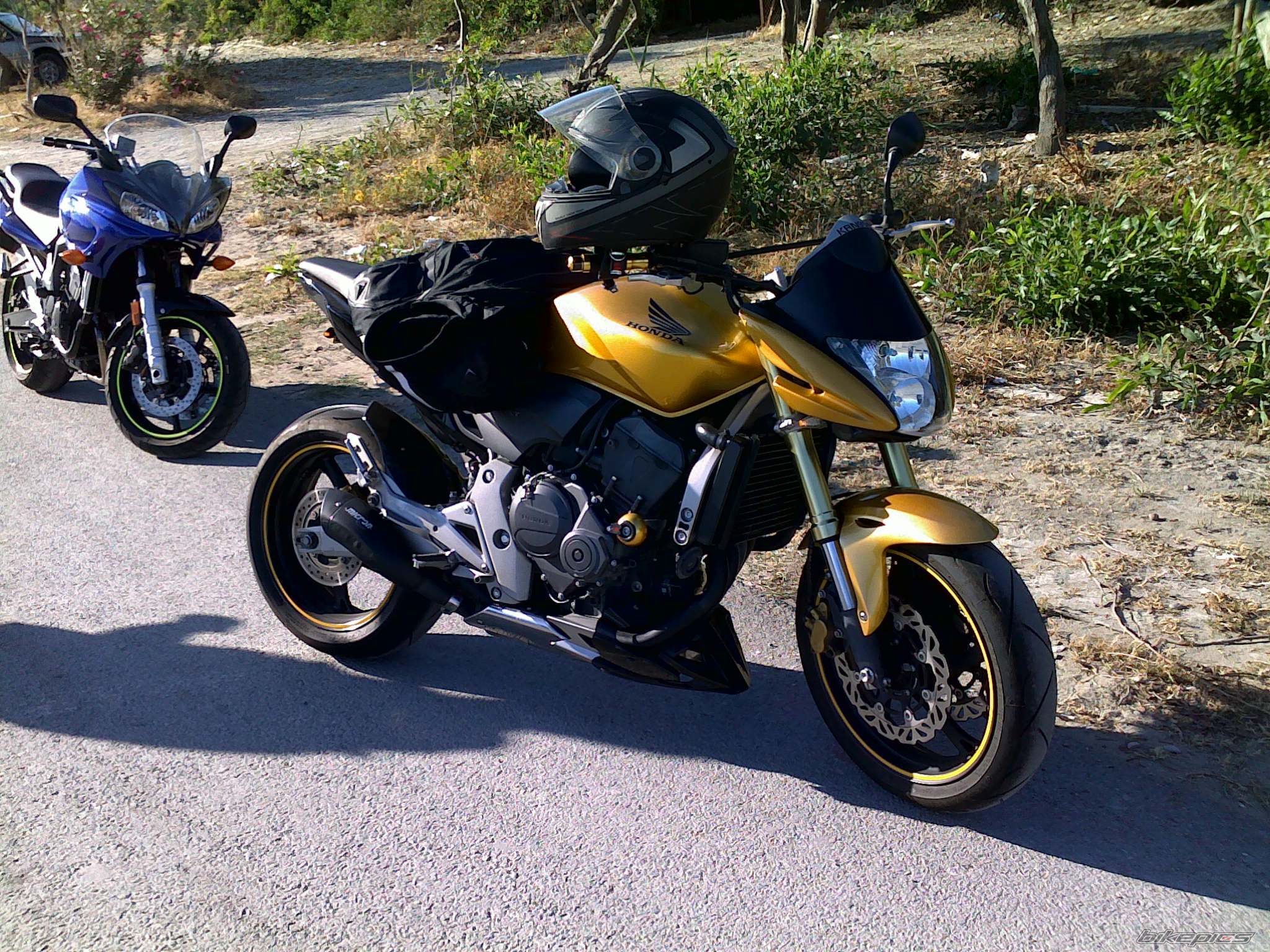 Photo 1683753