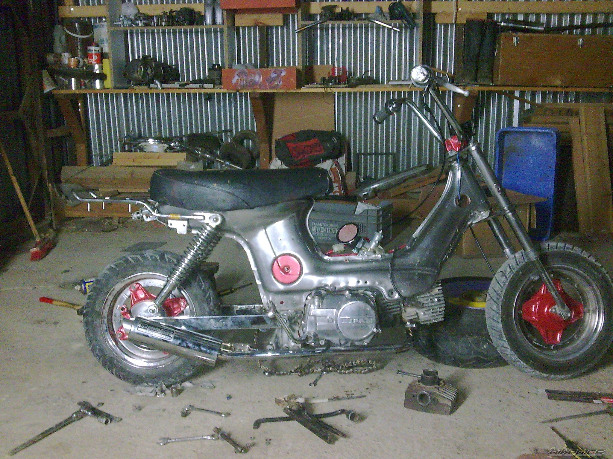 Photo 1683934