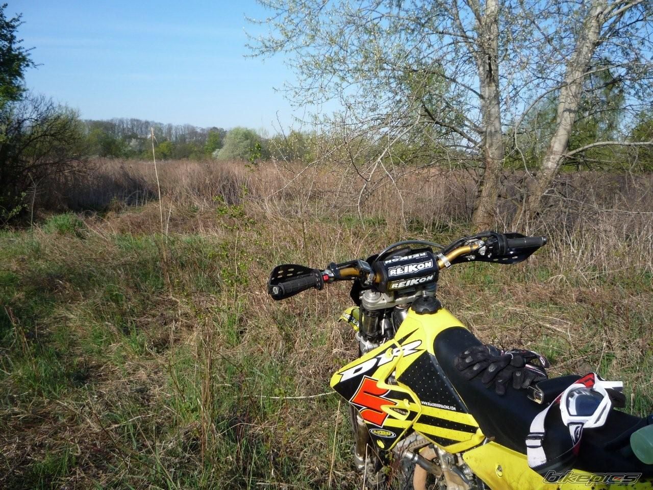 Photo 1683968