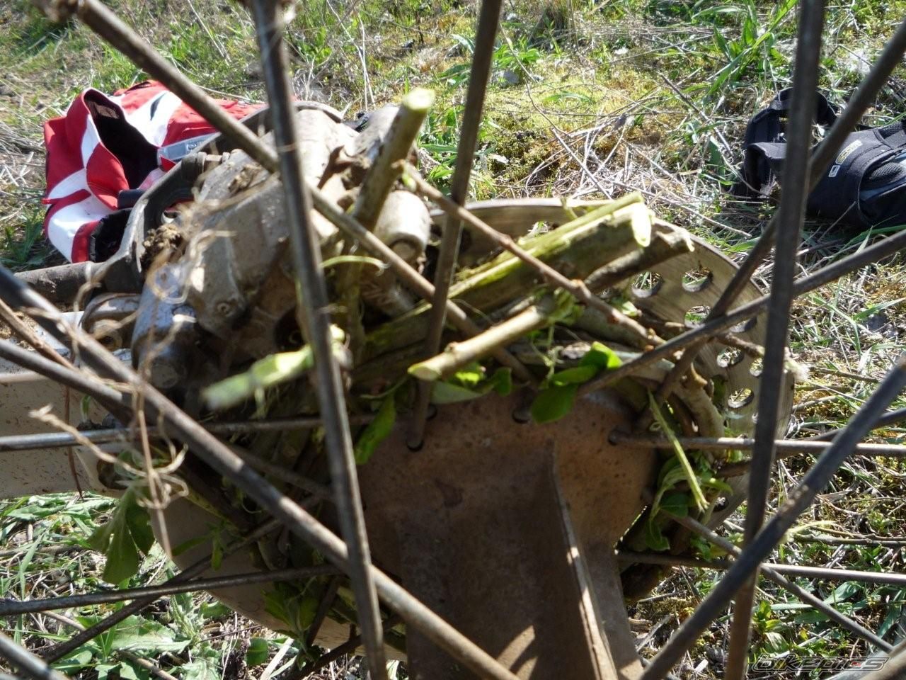 Photo 1683976