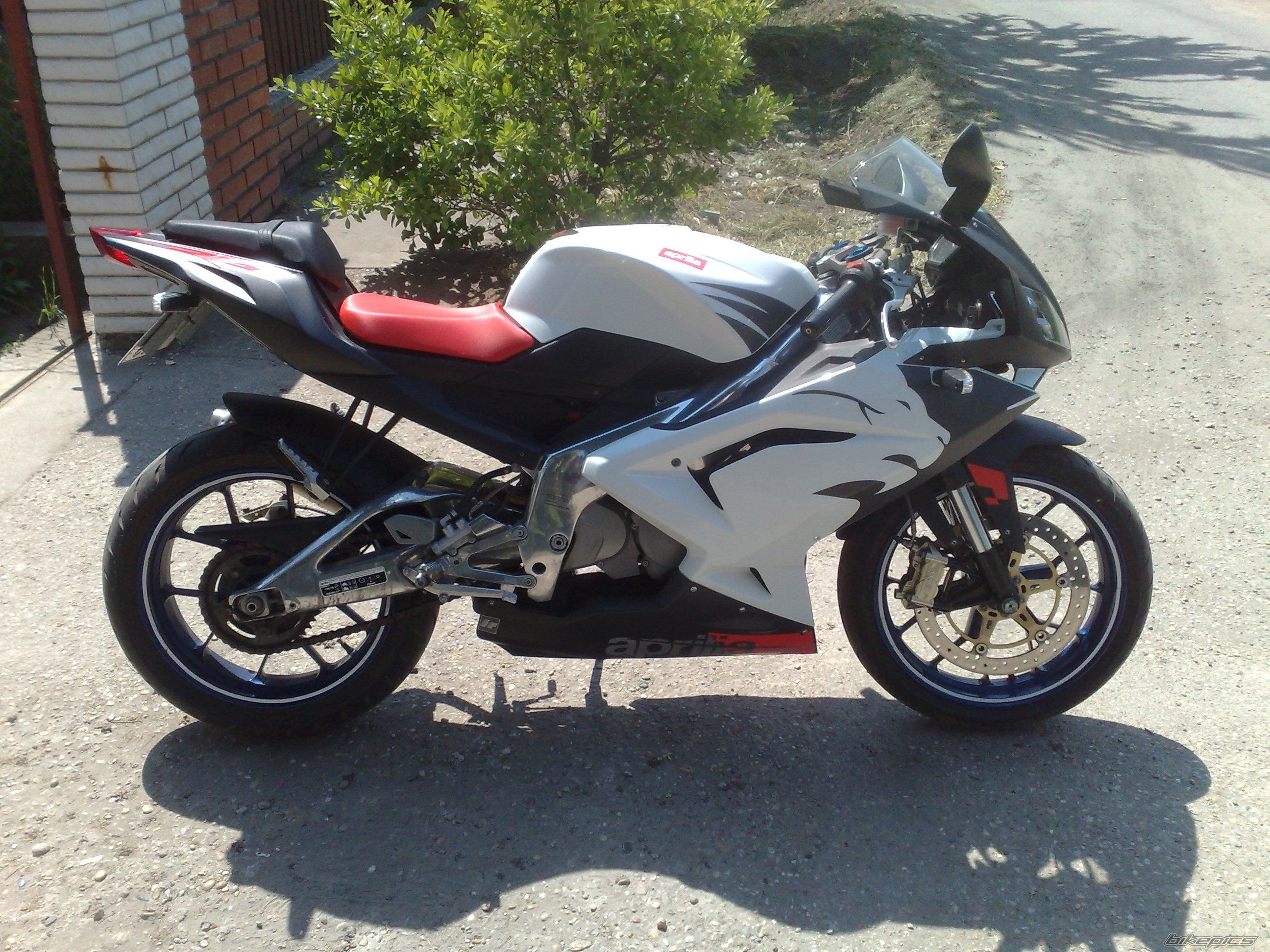 Photo 1684055