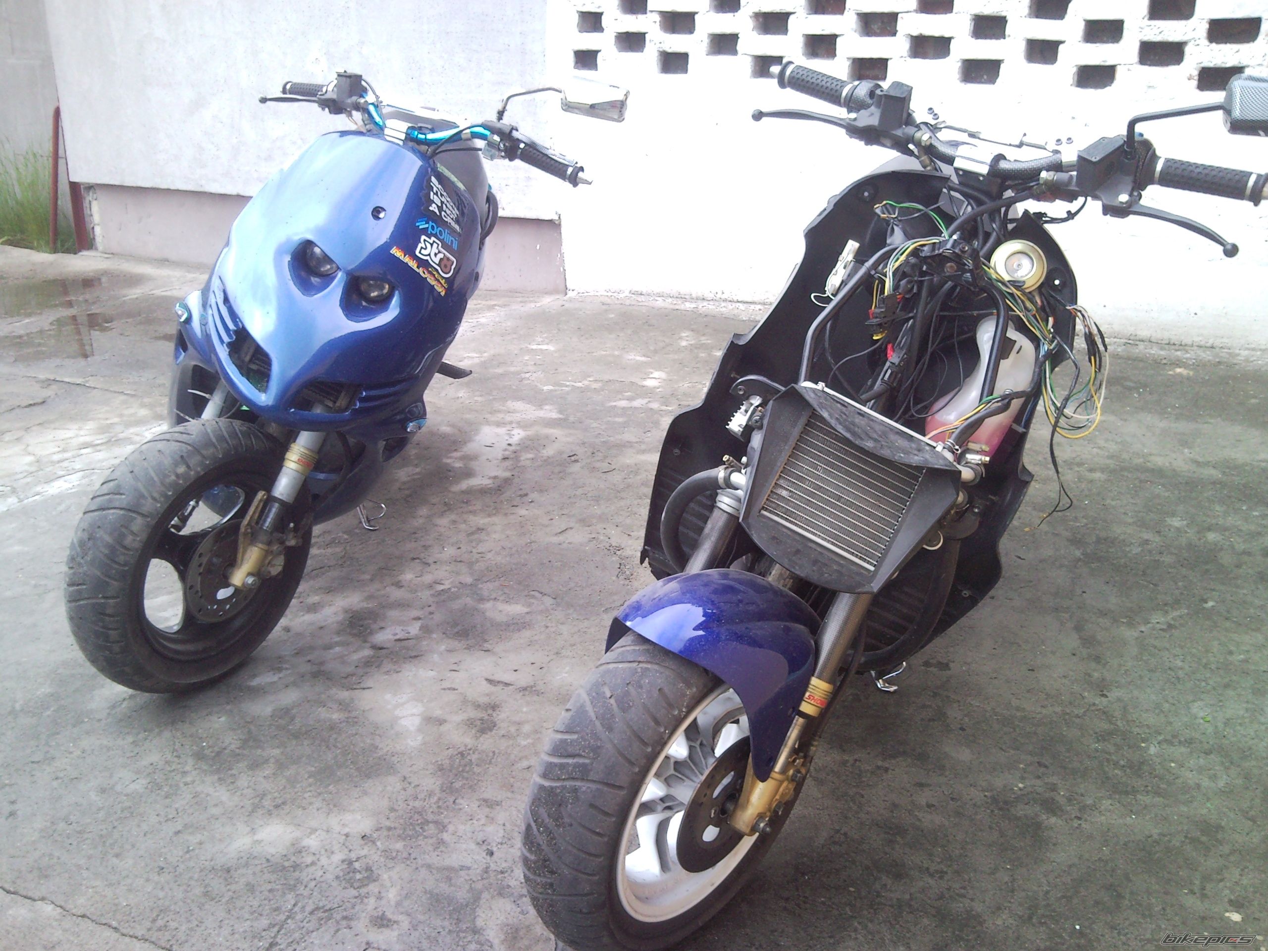 Photo 1684078