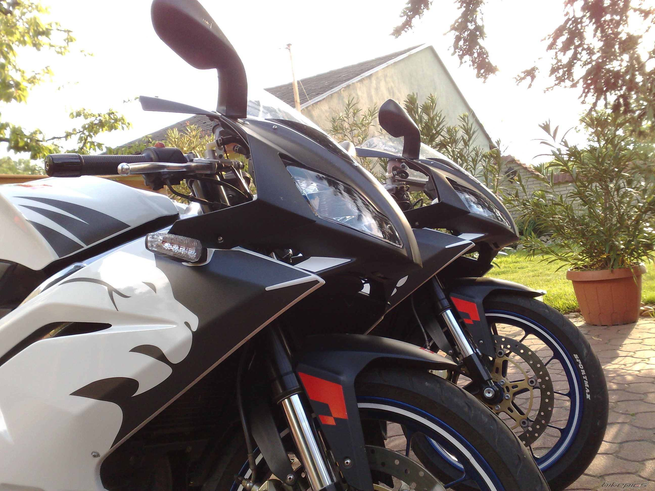 Photo 1684088