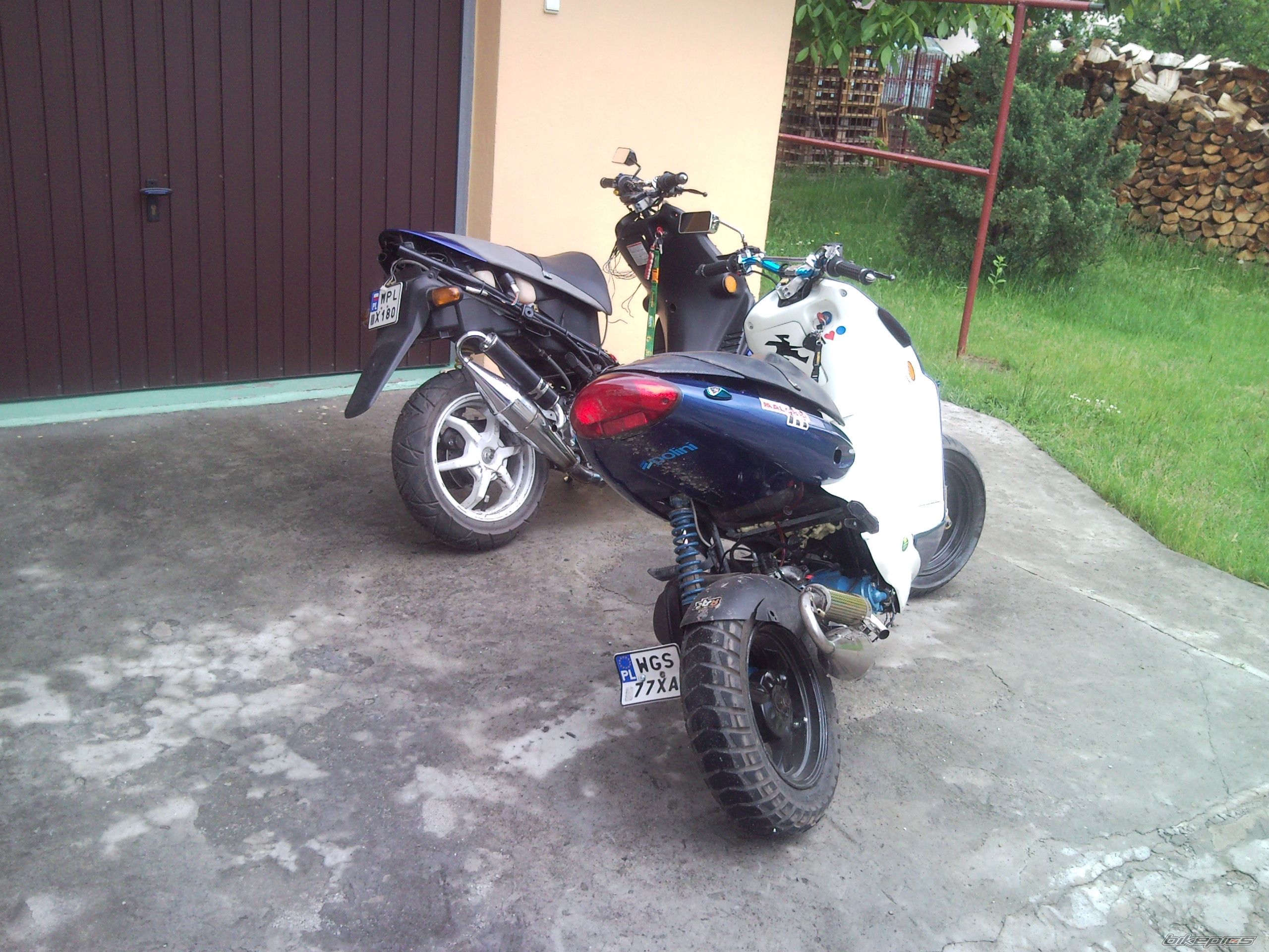 Photo 1684089