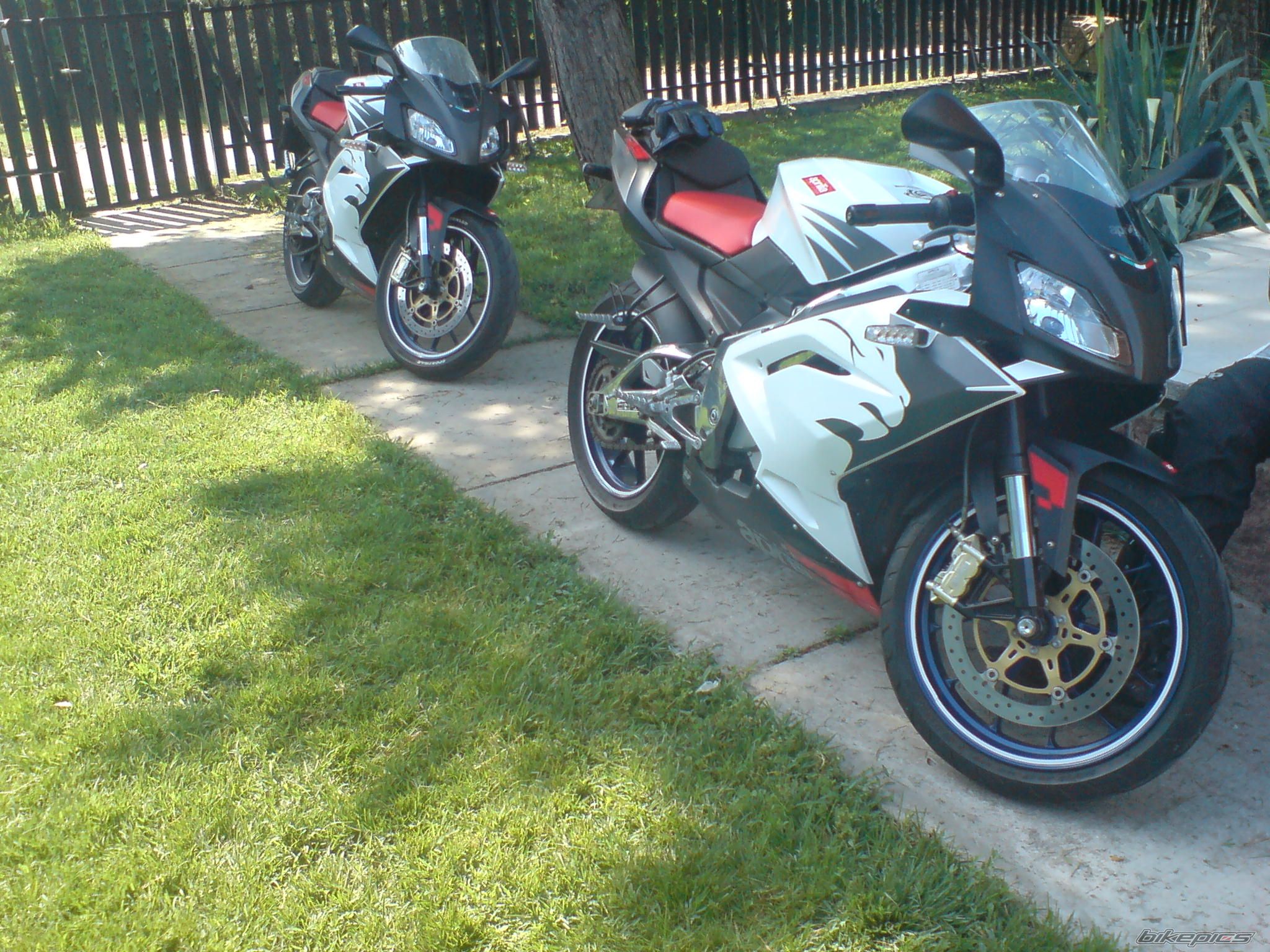 Photo 1684103