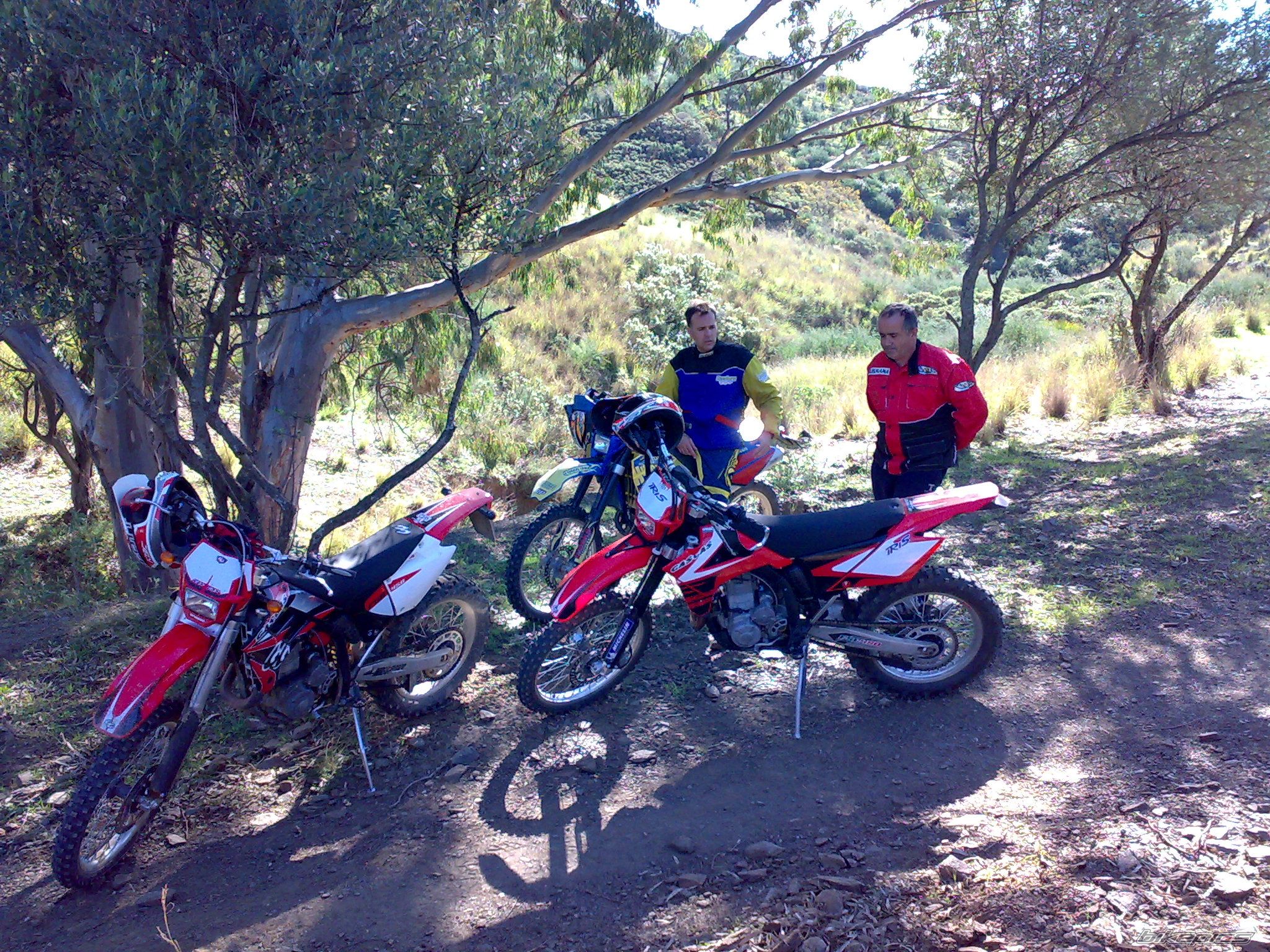 Photo 1684145