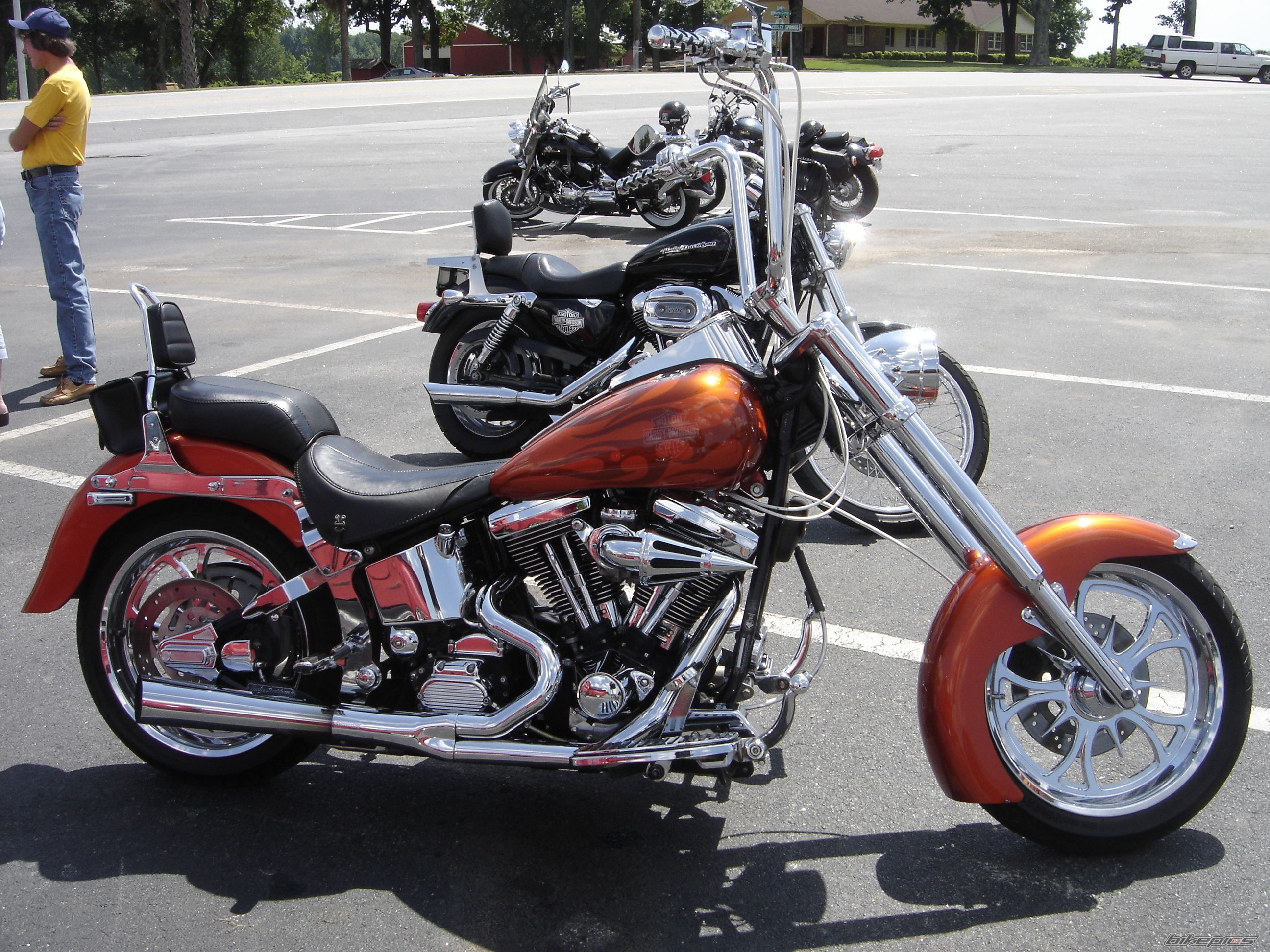 Photo 1684208