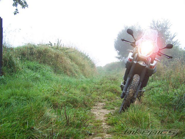 Photo 1684215