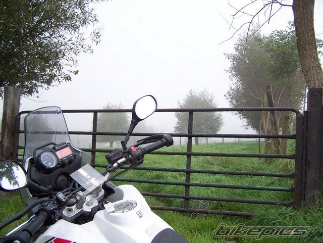 Photo 1684216