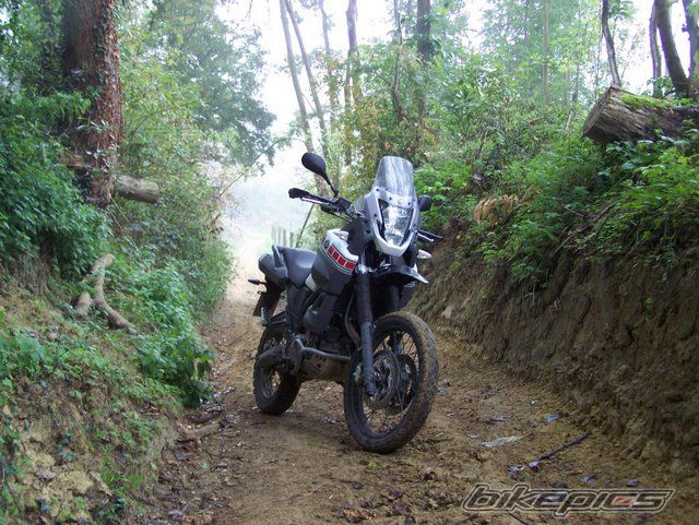 Photo 1684218