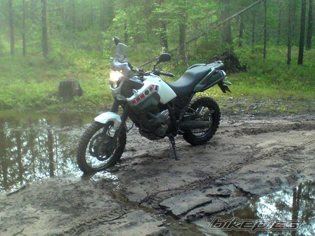Photo 1684224