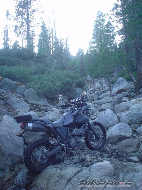 Photo 1684227