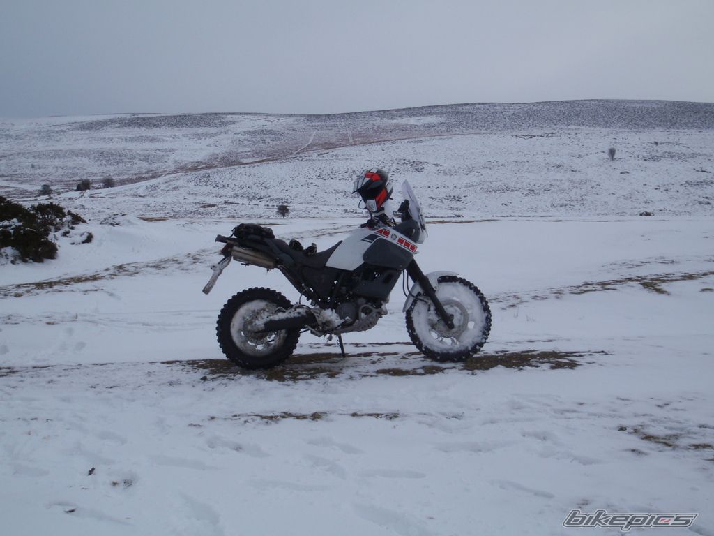 Photo 1684233