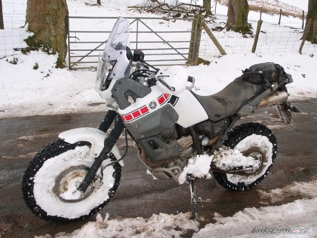 Photo 1684235