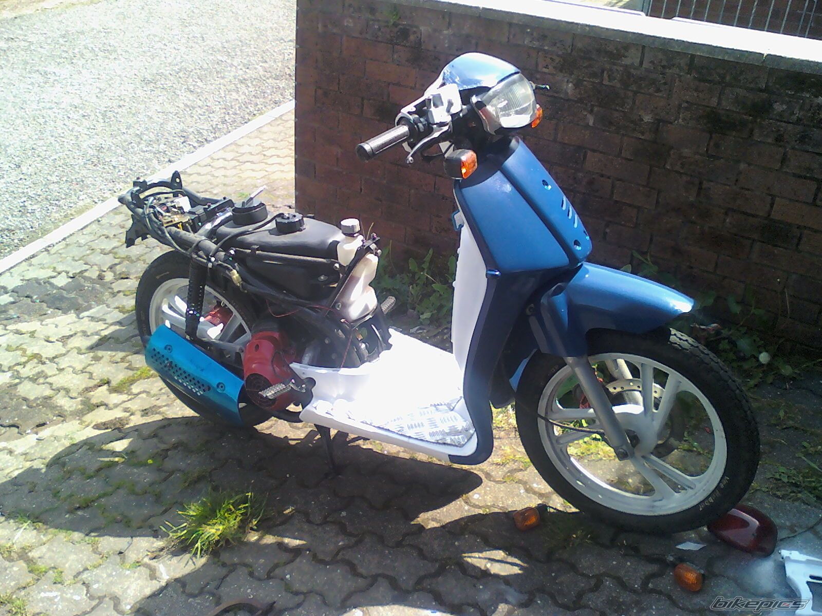 Photo 1684286