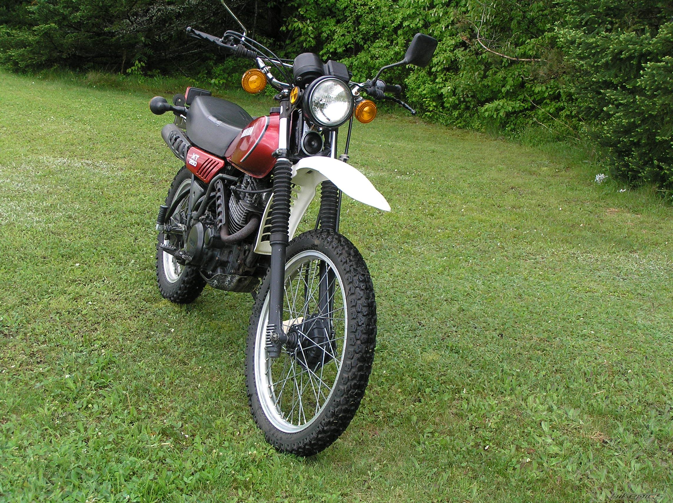 Photo 1684292