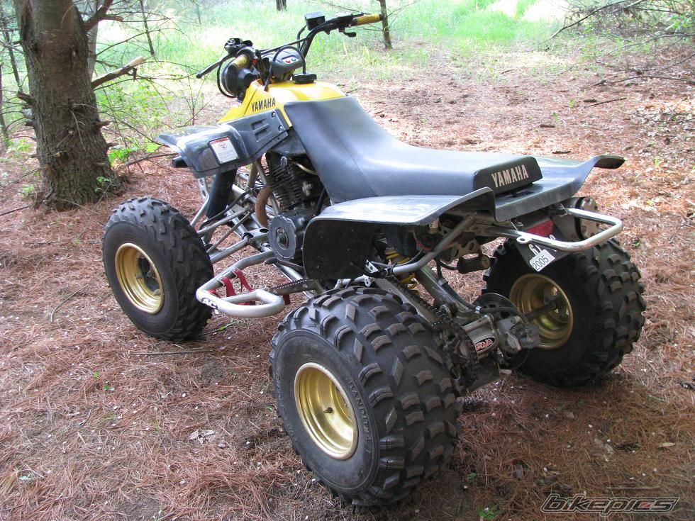 Photo 1684305