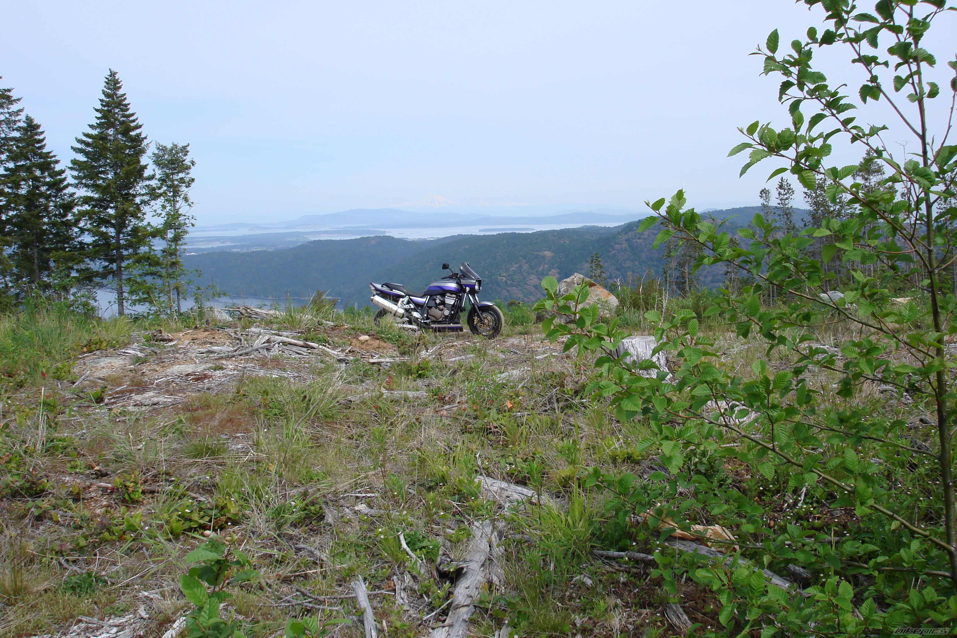 Photo 1684317