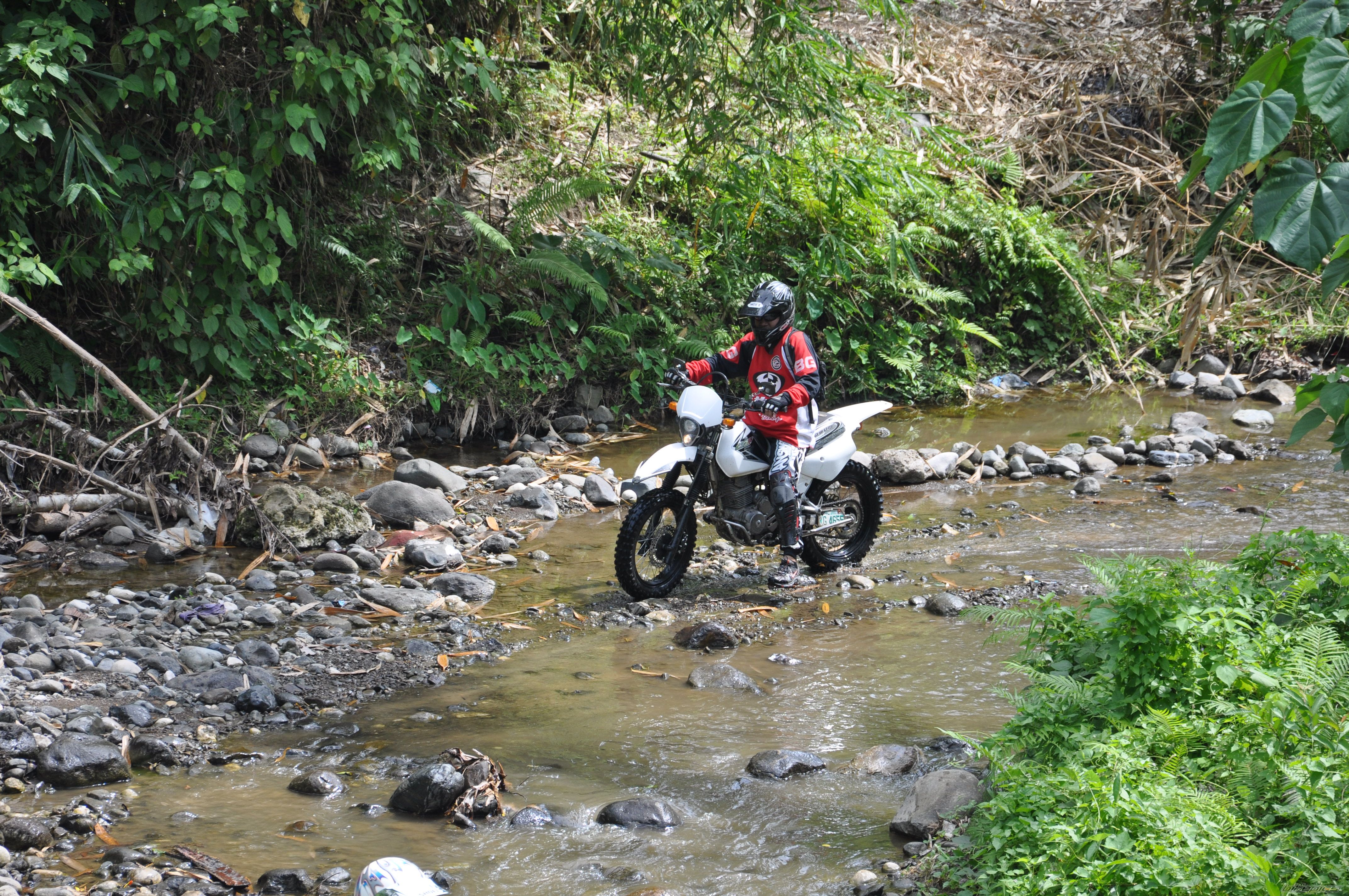 Bike Photo 1684350