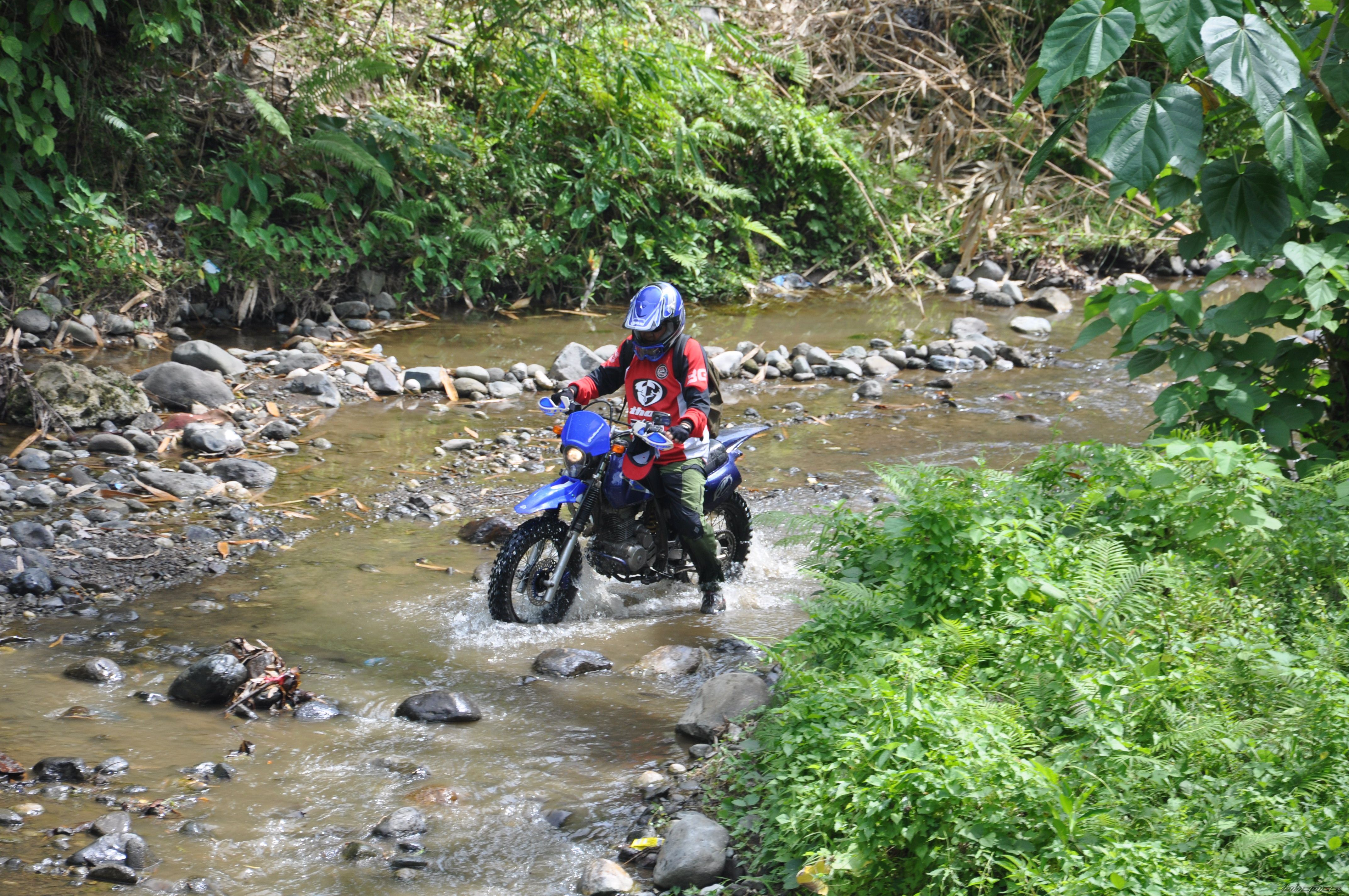 Bike Photo 1684352