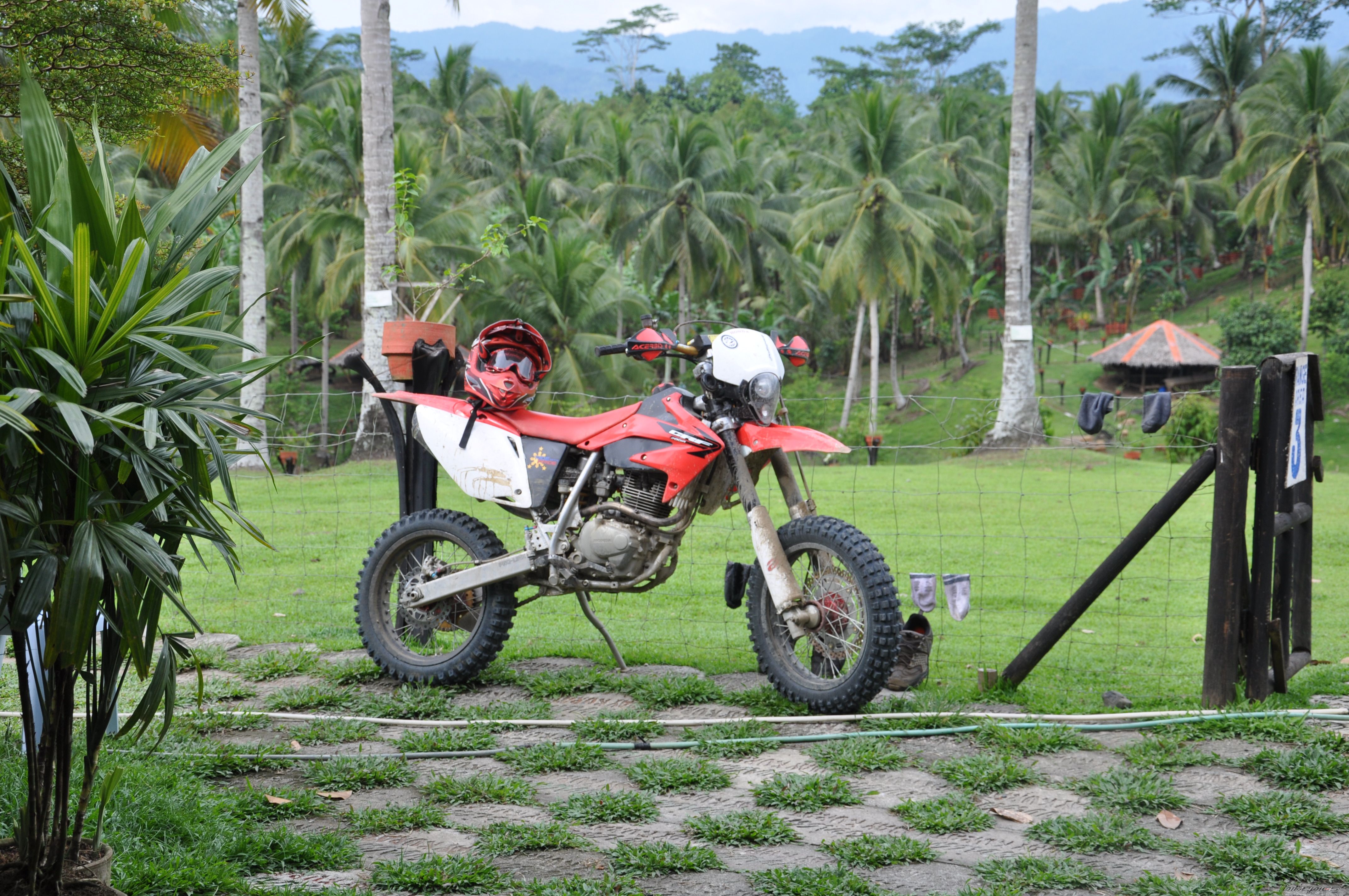 Bike Photo 1684355